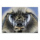 Zoek naar ongewervelden briefkaarten Antenne