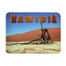 Zoek naar namib magneten Landschap