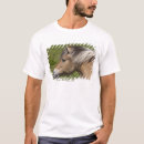 Zoek naar noorse fjord tshirts Noorwegen