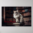 Zoek naar ragdoll cat kunst Ragdollat