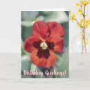 Zoek naar viooltje bloem kaarten Tuin