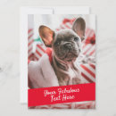 Zoek naar foto notitiekaarten Elk persoon