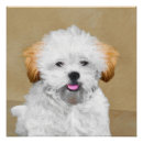 Zoek naar lhasa apso kunst Portret