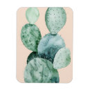 Zoek naar cactus magneten Tropisch