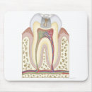 Zoek naar gezondheidszorg muismatten Medisch