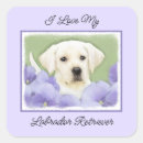 Zoek naar labrador puppy stickers Zwart