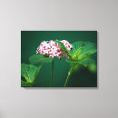 Zoek naar triptych kunst Bloem