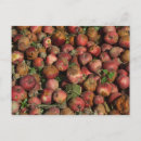 Zoek naar rotte appel Afval