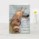 Zoek naar cancer kaarten Aanmoediging