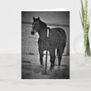 Zoek naar verjaardagskaart paard kaarten Elk persoon
