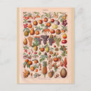 Zoek naar historisch briefkaarten Replica