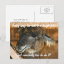 Zoek naar boerderij dieren briefkaarten Schattig