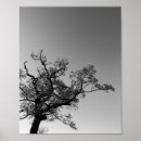 Zoek naar boom silhouet posters Wild