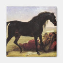 Zoek naar paard magneten Arabisch