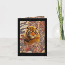 Zoek naar grappige geit briefkaarten Voor hem