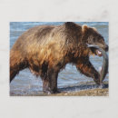 Zoek naar fishing briefkaarten Alaska