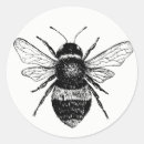 Zoek naar hommel stickers Eenvoudig