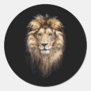 Zoek naar leeuw gezicht stickers Kat