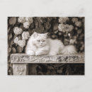 Zoek naar kattenkunst briefkaarten Elk persoon