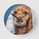 Zoek naar bad klokken Hond