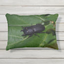 Zoek naar kever kussens Bug