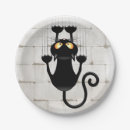 Zoek naar cat borden Kat