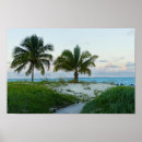 Zoek naar duin posters Eiland