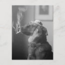 Zoek naar hond briefkaarten Retro