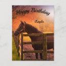 Zoek naar gelukkige verjaardag paard briefkaarten Pony