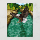 Zoek naar adelaar briefkaarten Natuur