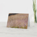 Zoek naar paarse wilde bloem kaarten Foto