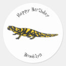 Zoek naar salamanders stickers Ieder kind