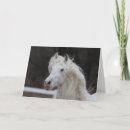 Zoek naar friesian paarden kaarten Hengst