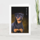 Zoek naar rottweilers kaarten Voor iedereen