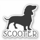 Zoek naar dachshund hoesjes Huisdier