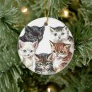 Zoek naar circle ornamenten Kat