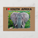 Zoek naar olifant briefkaarten Afrika