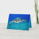 Zoek naar zeeschildpad kaarten Tropisch