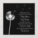 Zoek naar hare uitnodigingen Zwart