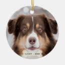 Zoek naar herdershond ornamenten Schattig
