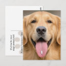 Zoek naar goud briefkaarten Klant