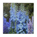 Zoek naar larkspur tegels Botanisch