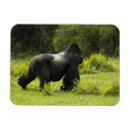 Zoek naar rwanda magneten Herbivore