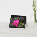 Zoek naar waterlelie notitiekaarten Bloemen