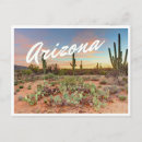Zoek naar cactus briefkaarten Modern
