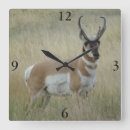 Zoek naar boks klokken Elk persoon