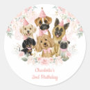 Zoek naar labrador puppy stickers Waterverf