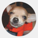 Zoek naar zeg kaas stickers Schattig