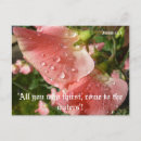 Zoek naar sweet briefkaarten Elk persoon