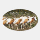 Zoek naar antilopen stickers Gazelle